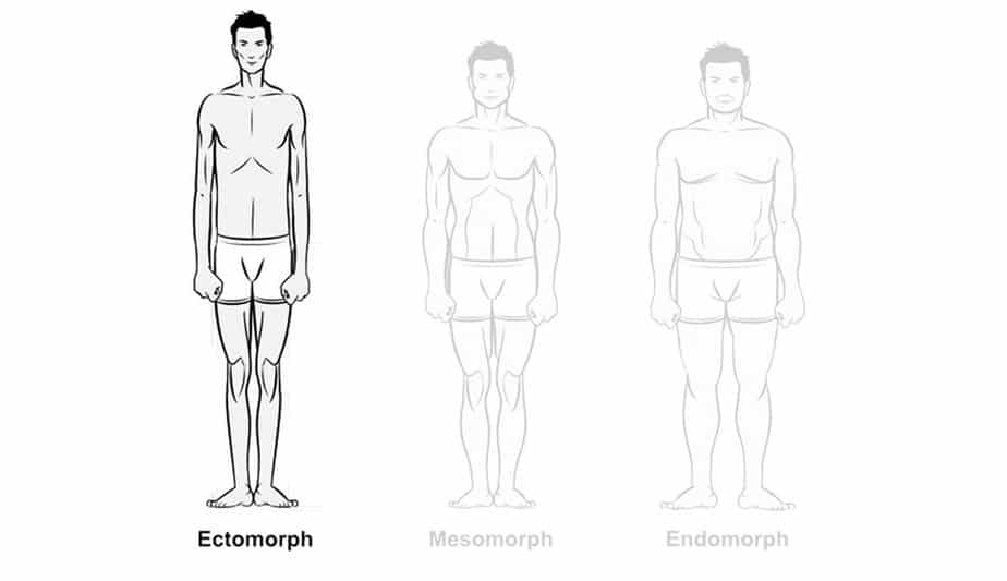 Виды мужской фигуры. Типы эктоморф мезоморф эндоморф. Типы фигур эктоморф эндоморф мезоморф. Типы фигур у мужчин эктоморф. Типы фигуры мезоморф эктоморф.